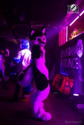 BFD9 0536 von Bastlwastl