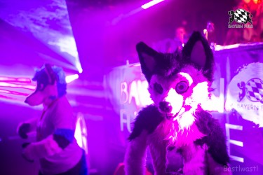 BFD9 0545 von Bastlwastl