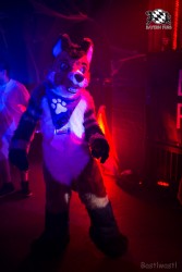 BFD9 0614 von Bastlwastl