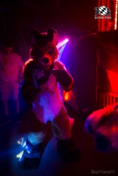 BFD9 0624 von Bastlwastl