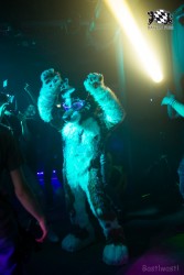 BFD9 0636 von Bastlwastl