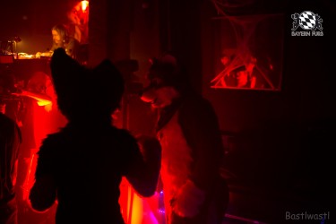 BFD9 0639 von Bastlwastl