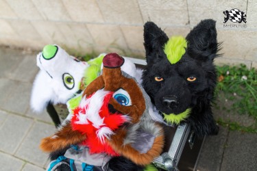 BFD9 0681 von Chaotika