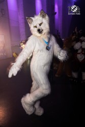 BFD10 0049 von Ryius