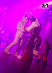 BFD10 0054 von Captain Chaotika