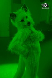 BFD10 0077 von Captain Chaotika