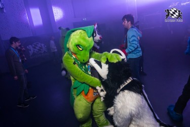 BFD10 0113 von Ryius