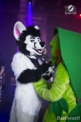 BFD10 0449 von Wachhund