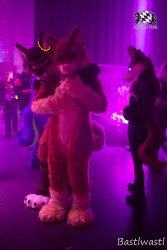 BFD10 0454 von Wachhund