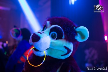 BFD10 0457 von Wachhund