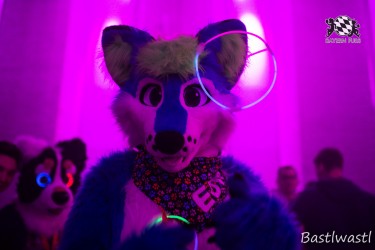 BFD10 0458 von Wachhund