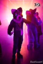 BFD10 0460 von Wachhund