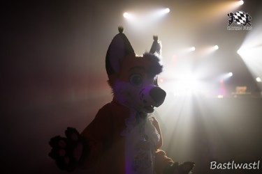 BFD10 0475 von Wachhund