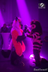 BFD10 0485 von Wachhund