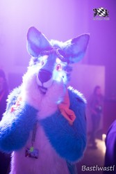 BFD10 0573 von Wachhund