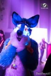 BFD10 0574 von Wachhund