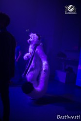 BFD10 0583 von Wachhund