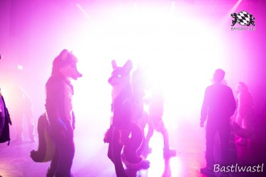 BFD10 0600 von Wachhund