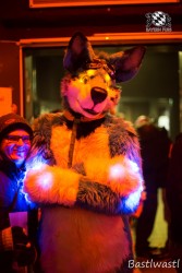 BFD10 0629 von Wachhund