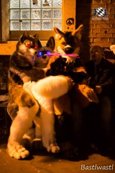 BFD10 0639 von Wachhund