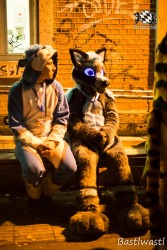 BFD10 0643 von Wachhund