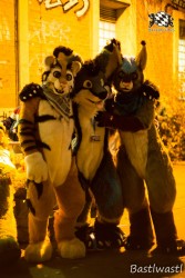 BFD10 0644 von Wachhund