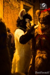 BFD10 0648 von Wachhund