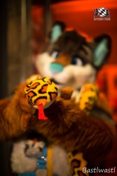 BFD10 0652 von Wachhund