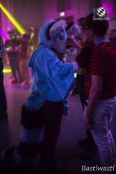 BFD10 0666 von Wachhund