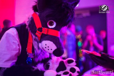 BFD10 0682 von Wachhund