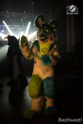 BFD10 0765 von Wachhund