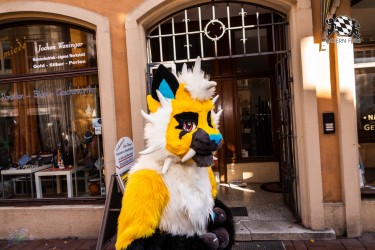 CGC2 0022 von Ryius Suitwalk