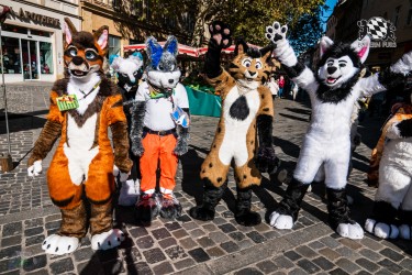 CGC2 0043 von Ryius Suitwalk