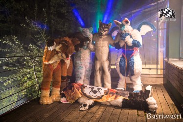 CGC2 0215 von Bastlwastl