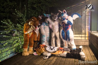 CGC2 0219 von Bastlwastl