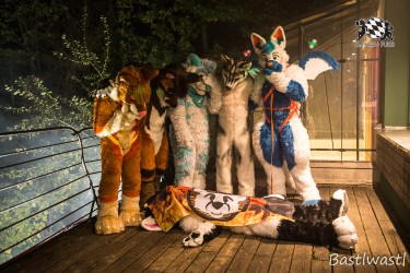 CGC2 0224 von Bastlwastl