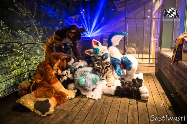 CGC2 0227 von Bastlwastl