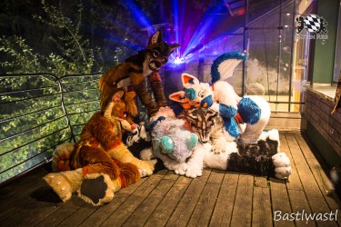 CGC2 0228 von Bastlwastl