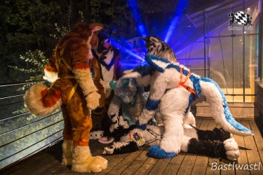 CGC2 0234 von Bastlwastl