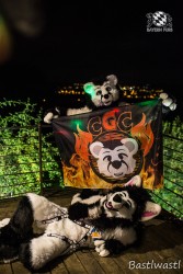 CGC2 0252 von Bastlwastl