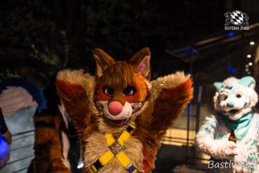 CGC2 0260 von Bastlwastl