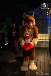 CGC2 0276 von Bastlwastl