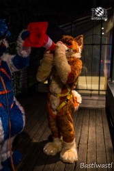 CGC2 0279 von Bastlwastl