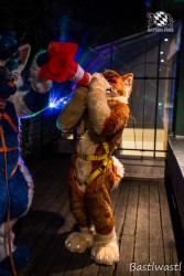 CGC2 0280 von Bastlwastl