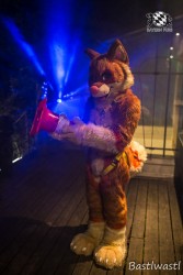 CGC2 0281 von Bastlwastl