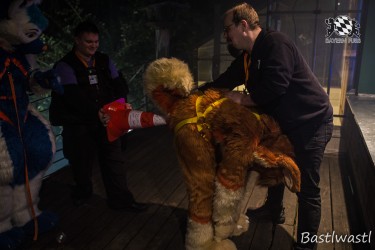 CGC2 0284 von Bastlwastl