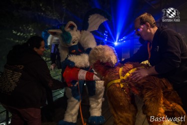 CGC2 0286 von Bastlwastl