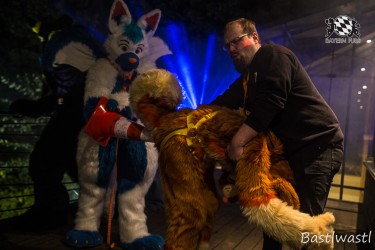 CGC2 0291 von Bastlwastl