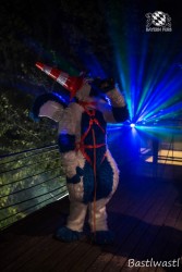 CGC2 0296 von Bastlwastl