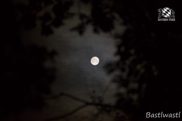 CGC2 0428 von Bastlwastl